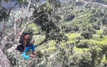 रूखको टुप्पोमा मात्र भेटिने इन्टरनेट